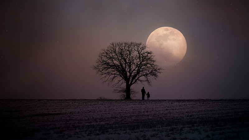 Father And Child, father, love, child, graphy, trees, moon, HD wallpaper