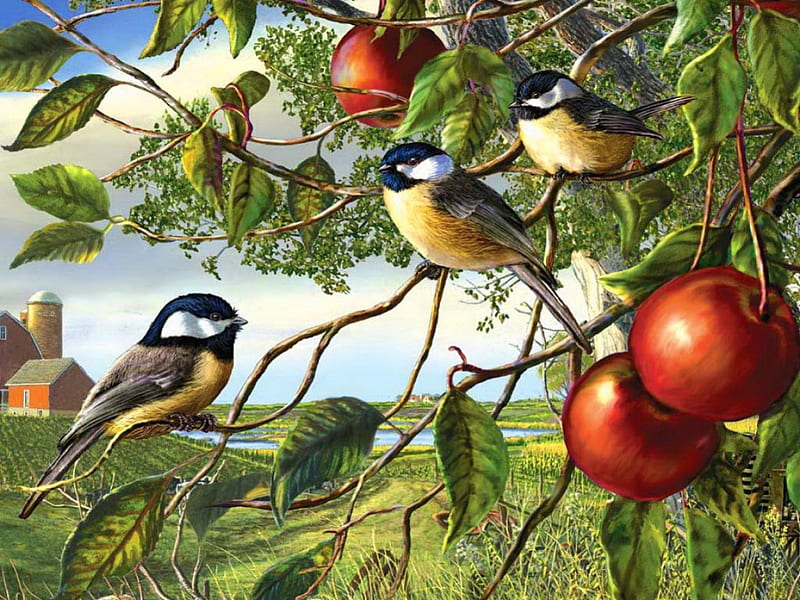 Chickadees and apples, pretty, art, house, lovely, grass, apples, greenery, birds, bonito, tree, leaves, chickadee, painting, branches, field, HD wallpaper
