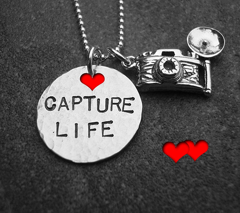 Capture Life, HD wallpaper