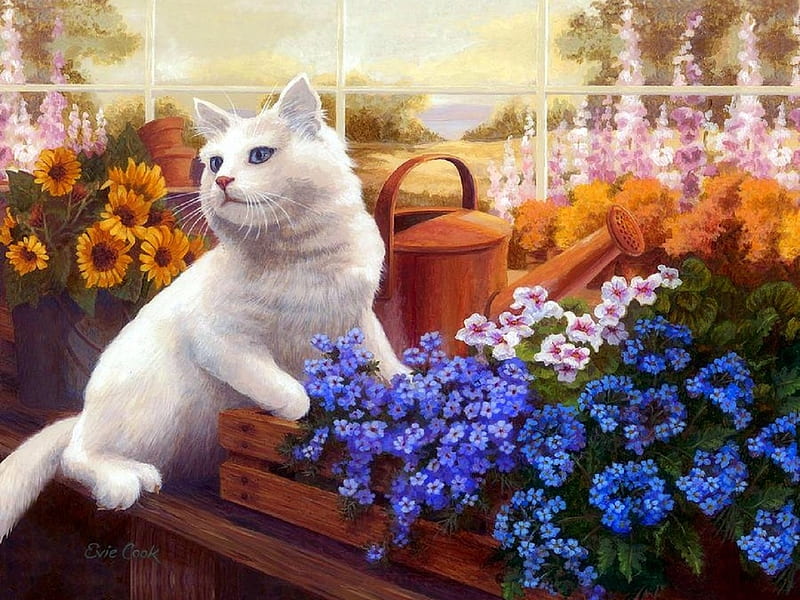 White Cat of Greenhouse, draw and paint, kitty, white cat, love four seasons, watering can, paintings, summer, flowers, cats, animals, HD wallpaper