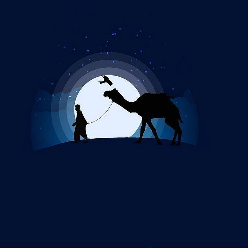 Nomad, egypt, desert, camel, arab, bird, silhouette, moonlight, night, stars, HD phone wallpaper