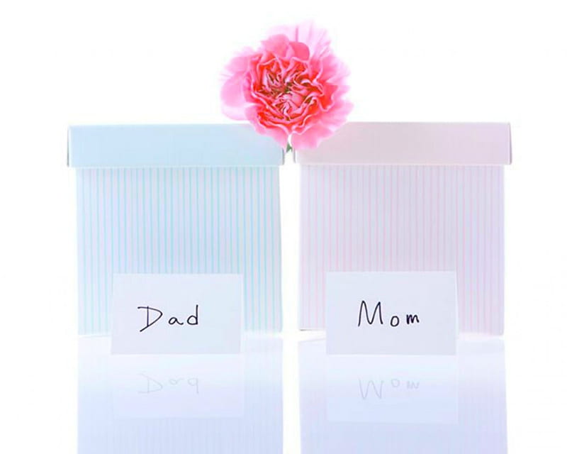 Dad and Mom, flower, words, parents, boxes, HD wallpaper