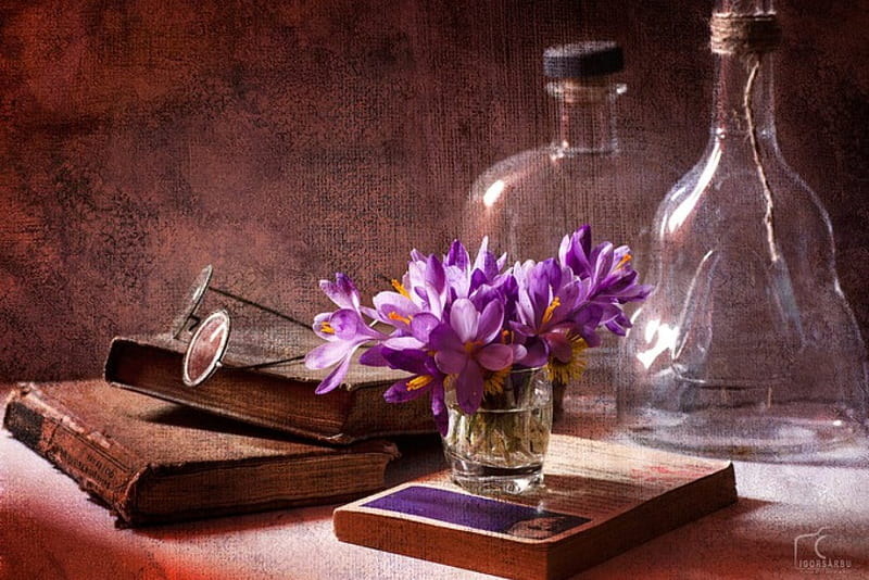 ●●● Transparency ●●●, transparency, still life, old things, book, purple flowers, beauty, everythings, bottles, HD wallpaper