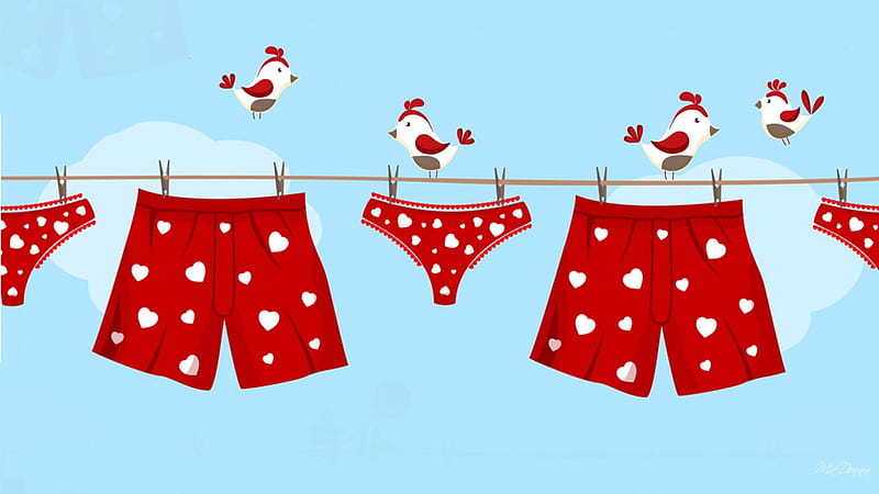Boxers and Bikinis, birds, panties, sky, corazones, cute, bikinies, Valentines Day, whimsical, underwear, clothes line, boxers, HD wallpaper