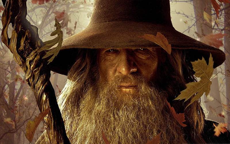 Gandalf-2012 Movie, HD wallpaper