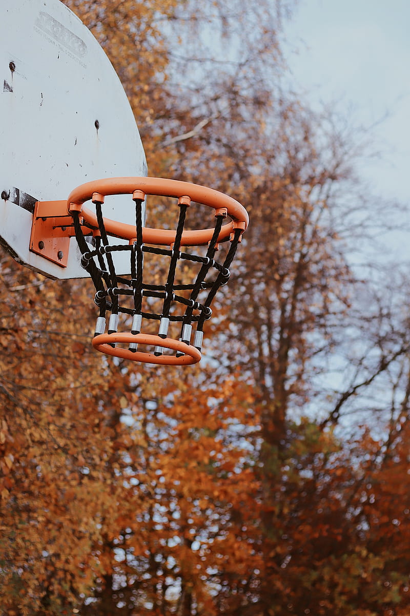 basketball hoop, basketball, hoop, net, HD phone wallpaper