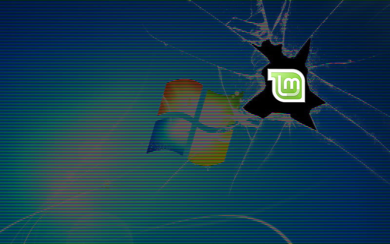 Linux Mint Break the Mold, anti microsoft, linux, mint, linux mint, HD wallpaper