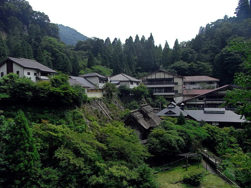 Taru Tama Onsen, japan, house, onsen, hot spring, nature, scenery, HD wallpaper