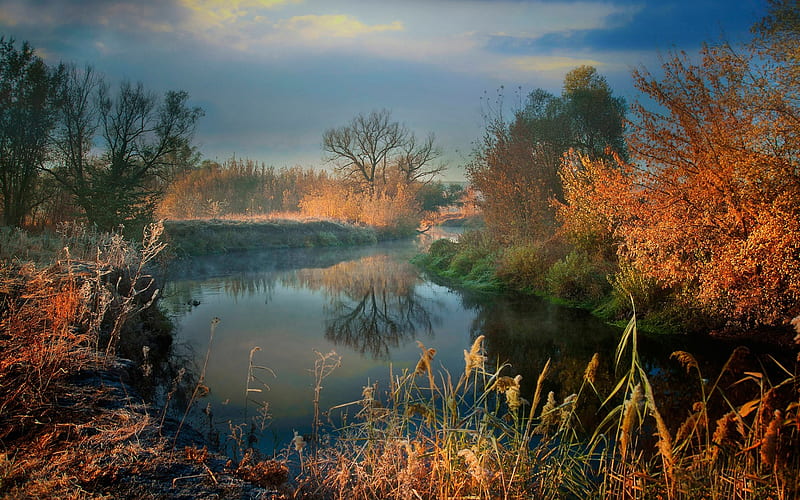 morning, river, autumn landscape, morning mist, yellow trees, autumn, HD wallpaper