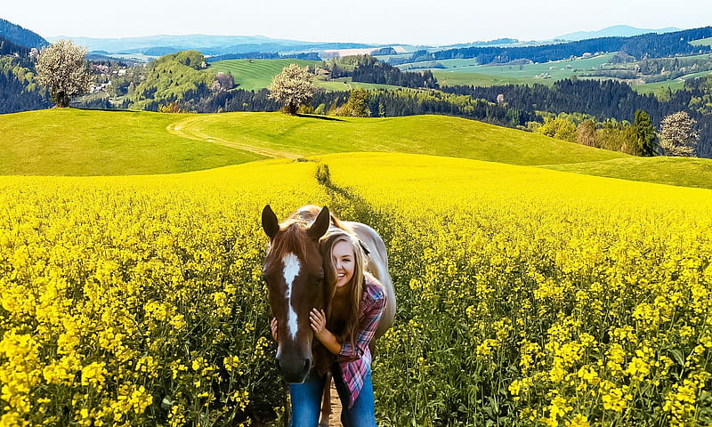 On the way through the yellow field, way, horse, young, girl, yellow, flowers, HD wallpaper