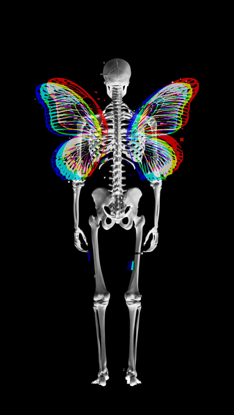 Skeleton butterfly, amoled, black, bone, glitch, interference, man, skull, wings, HD phone wallpaper