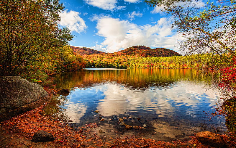 New Hampshire lake, autumn, forest, England, United Kingdom, beautiful nature, Great Britain, HD wallpaper