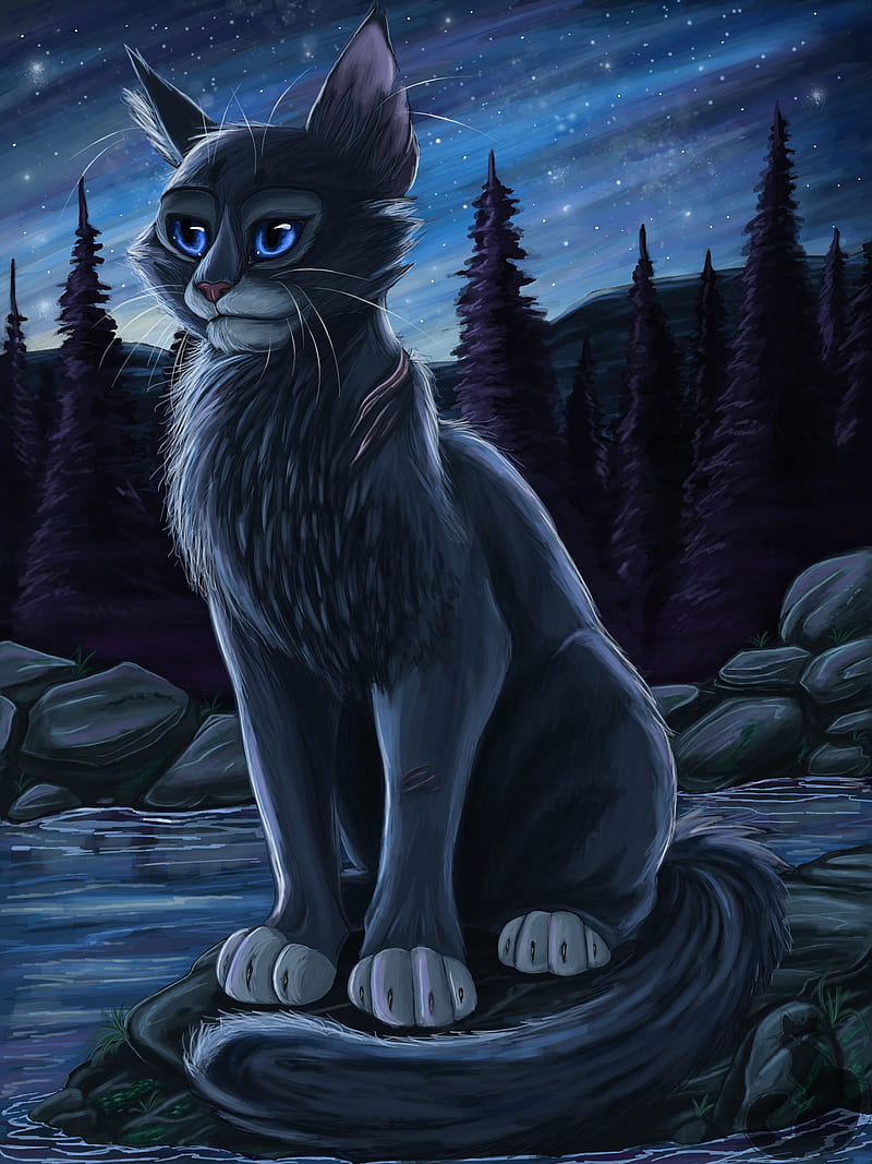 Warrior Cats Wallpapers Bluestar - Wallpaper Cave