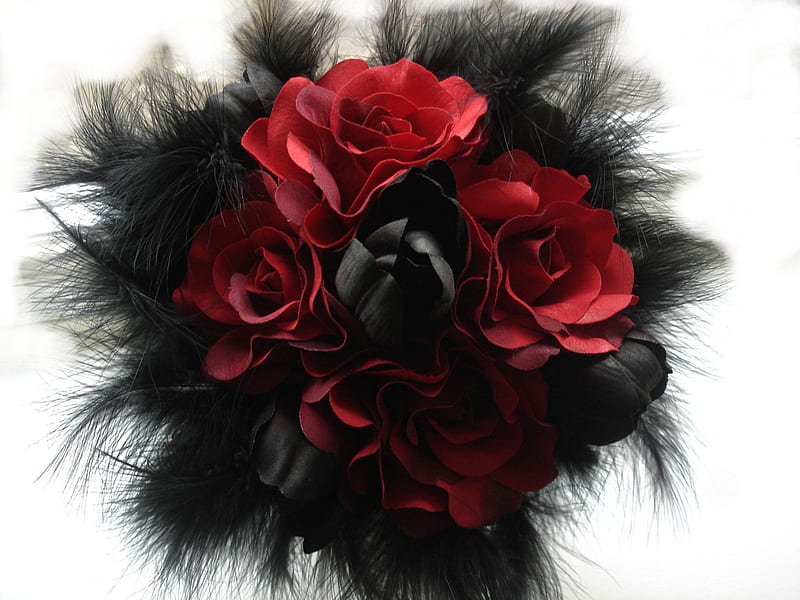 Black Magic Red, red, different, black, roses, dark, petals, tulips, colour, feathers, HD wallpaper