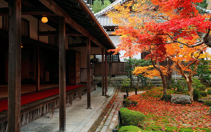Autumn garden-Enkoji Temple Autumn, HD wallpaper