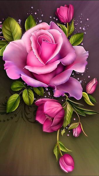 pink rose, flower, leaves, love, nature, pink, rose, HD phone wallpaper
