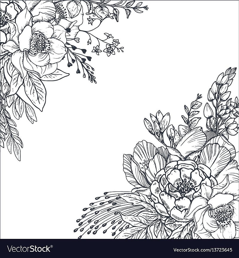 Floral drawing hires stock photography and images  Alamy