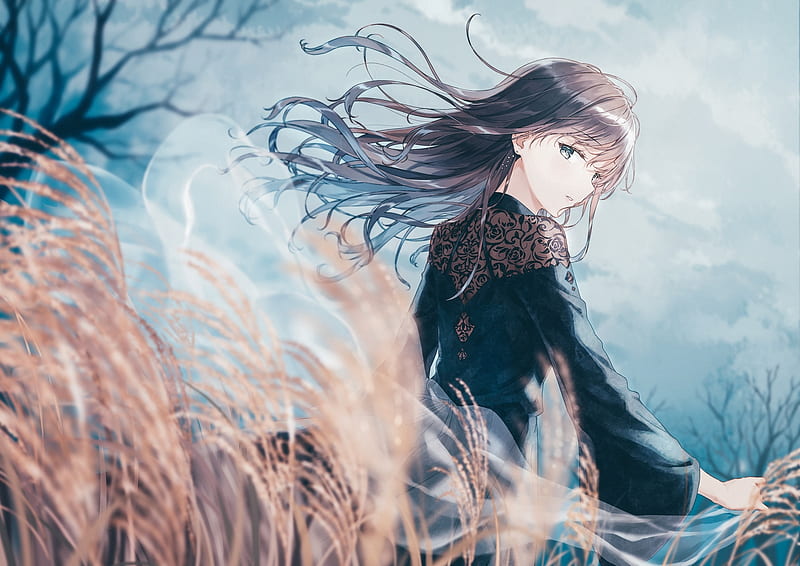 anime girl, back view, black dress, gothic, wind, field, Anime, HD wallpaper
