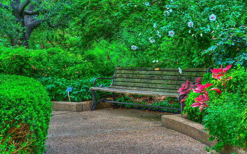 Park in Springtime - r, parks, green, benches, flowers, nature, trees, HD wallpaper