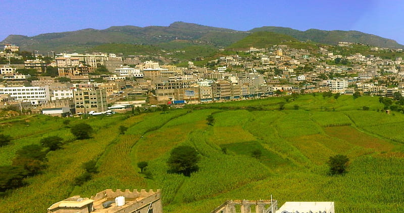 Ibb, the Green City, Yemen, Green Mountain, Ibb, Yemen, Green City, HD wallpaper