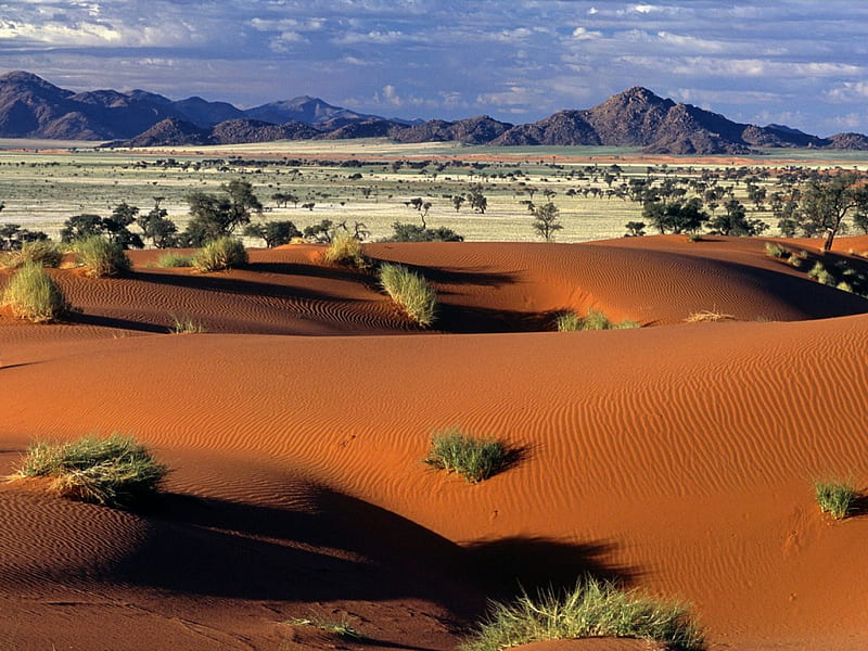 ok Tokkie Trail Camp NamibRand Reserve Namib Desert Namibia, nature, desert, landscape, HD wallpaper