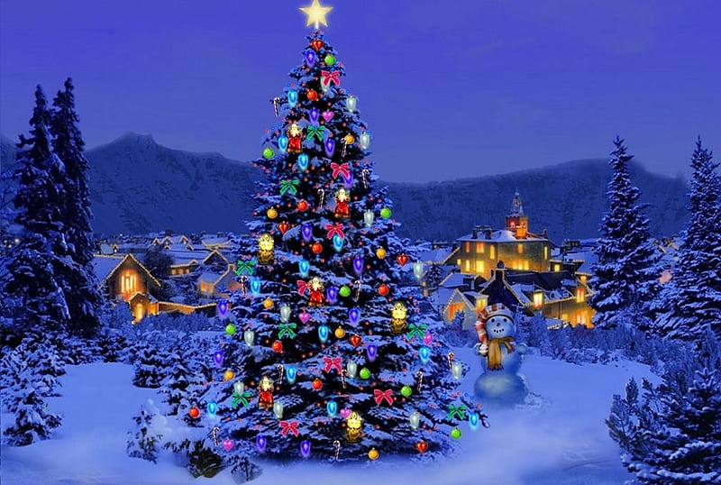 Christmas Time, tree, christmas, snow, lights, HD wallpaper | Peakpx