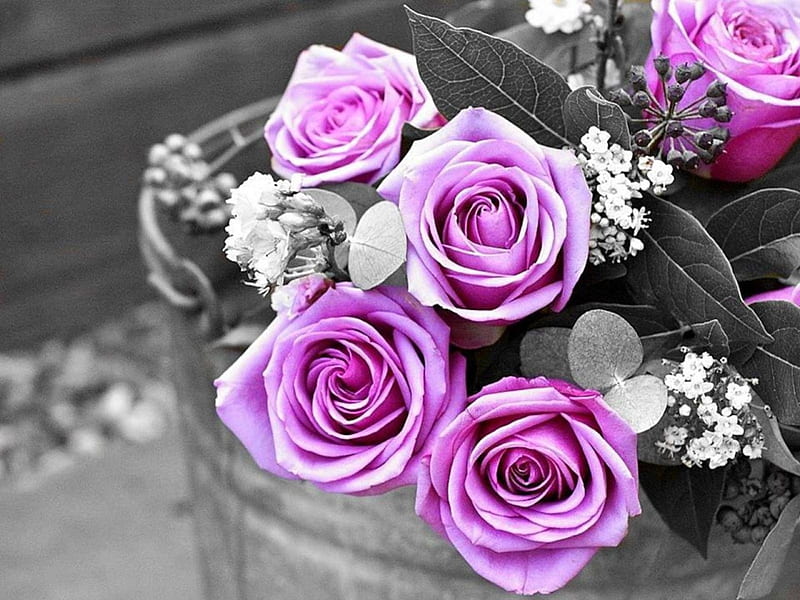 Lovely Bouquet, purple, bouquet, flowers, nature, roses, HD wallpaper