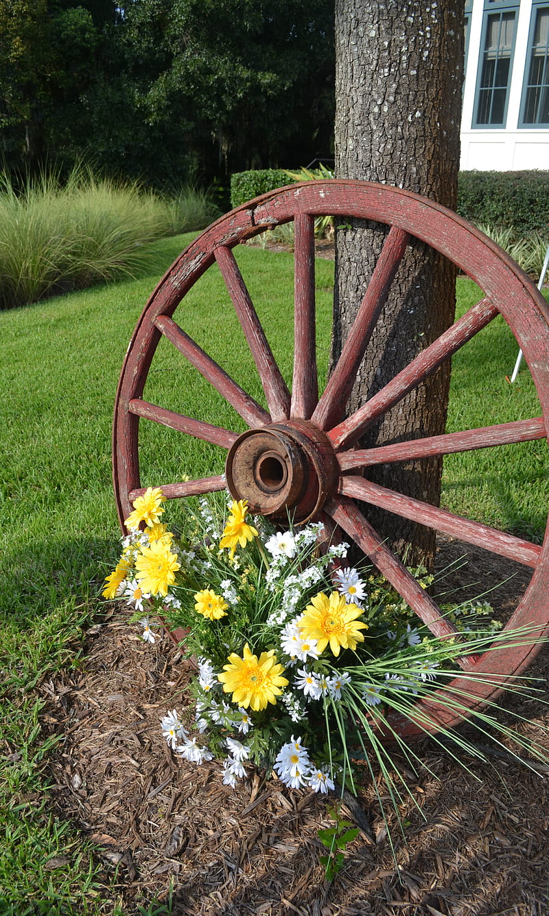 Wheel and Flowers, antique, grass, lawn, nature, old, project, scent, vintage, wagon wheel, HD phone wallpaper