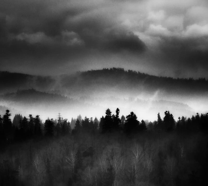 Forest, black-white, clouds, dark, landscape, mountains, HD wallpaper