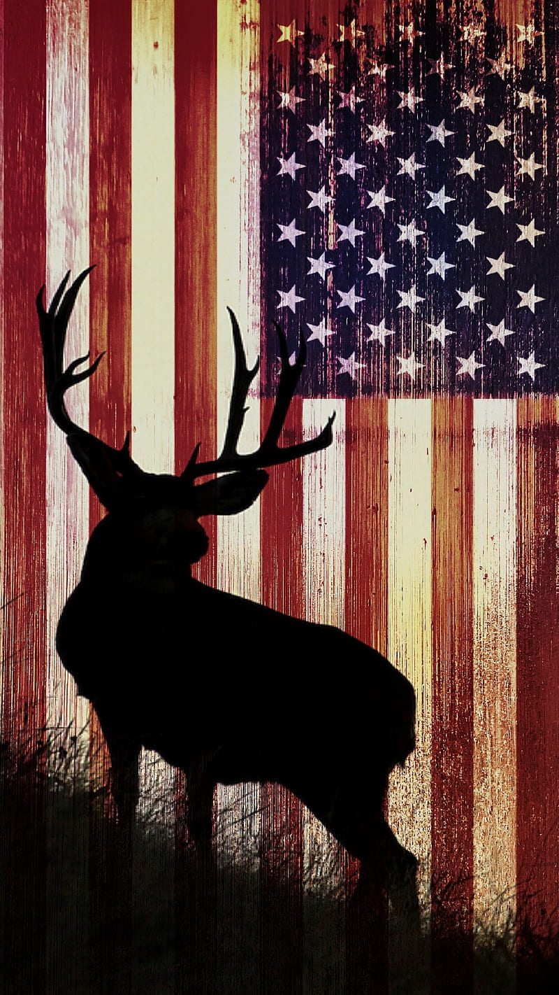 HD american deer wallpapers | Peakpx