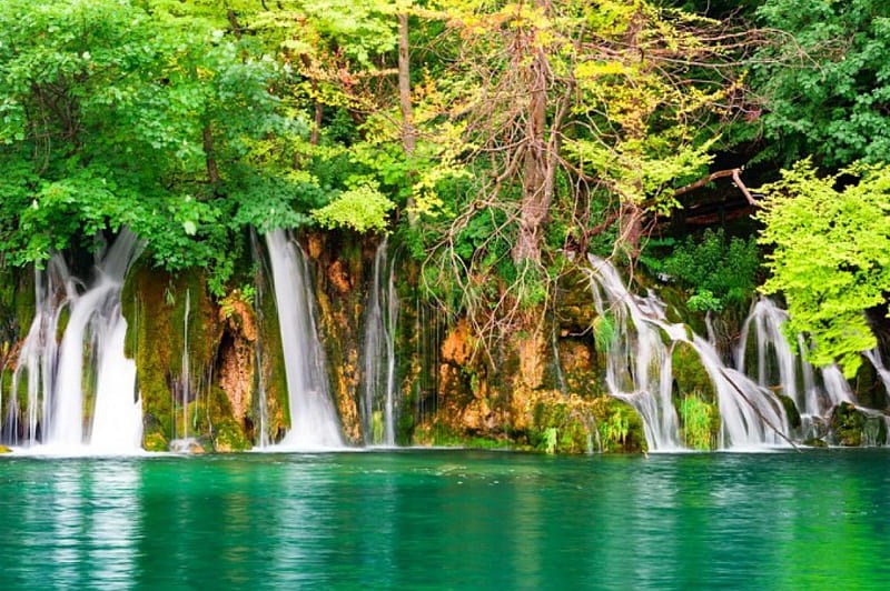 Rocks waterfall, forest, rocks, fall, lovely, falling, bonito, emerald ...
