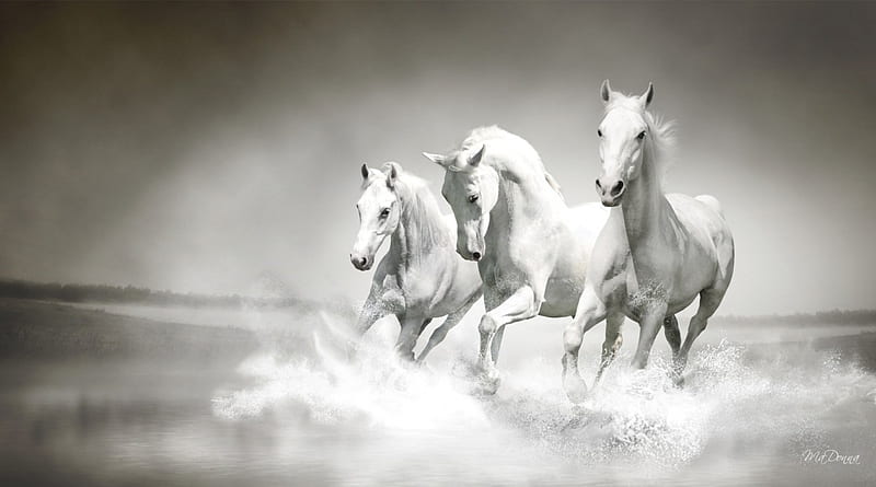 White Horses Running, sepia, ocean, black and white, sky, horses, sea, splash, equestrian, water, running, river, HD wallpaper