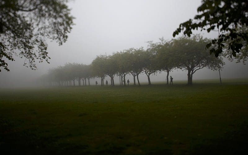 Meadows Park in thick fog scotland, HD wallpaper