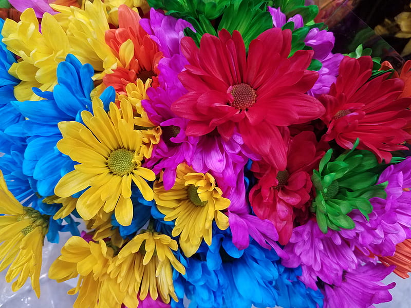 Colorful Flowers, bouquet, flowers, flower, HD wallpaper | Peakpx