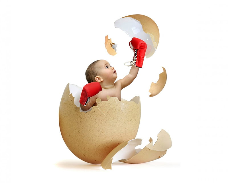 New born, red, box, easter, creative, baby, situation, cute, egg, boy, gloves, copil, child, funny, white, HD wallpaper