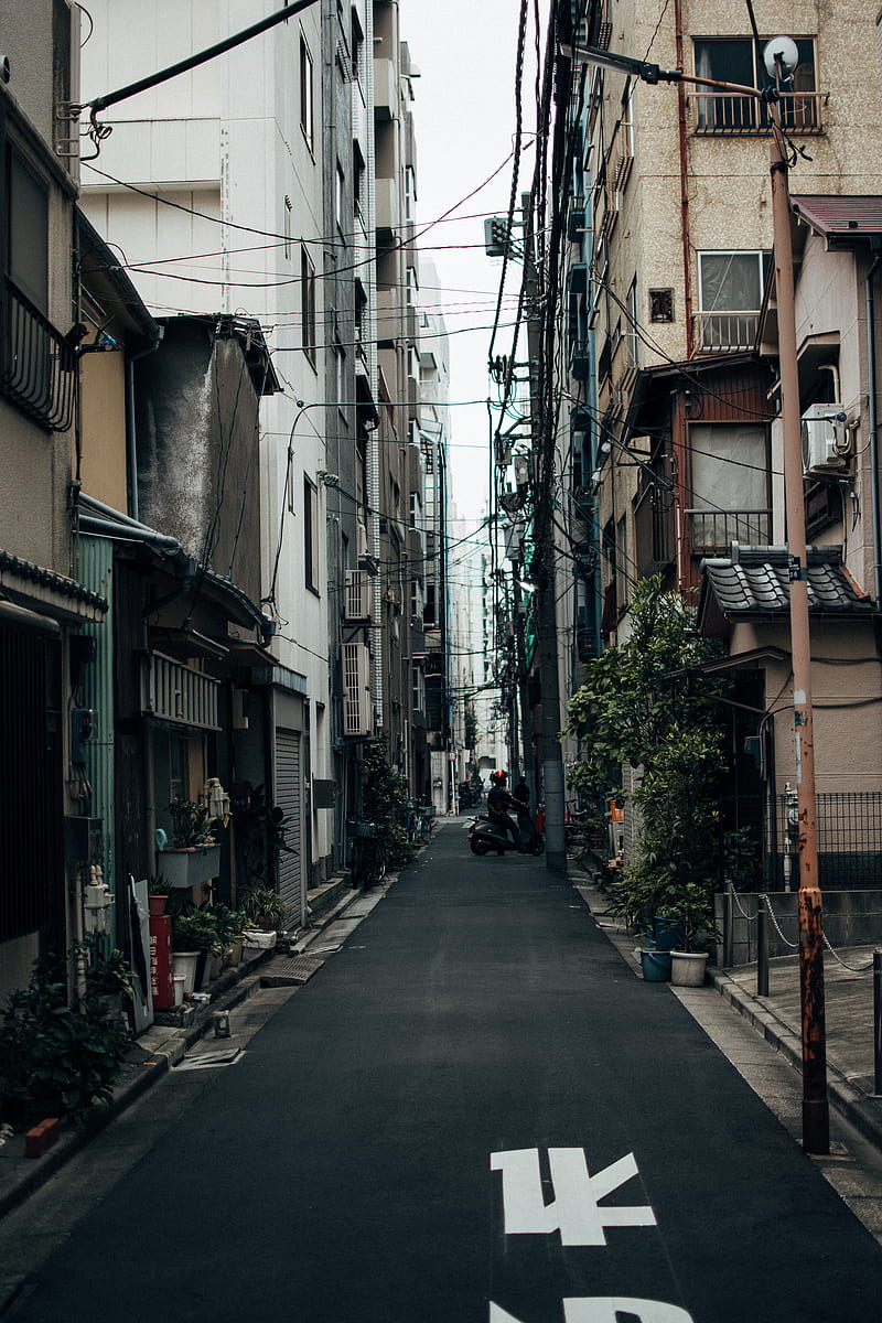 empty street between houses during daytime, HD phone wallpaper