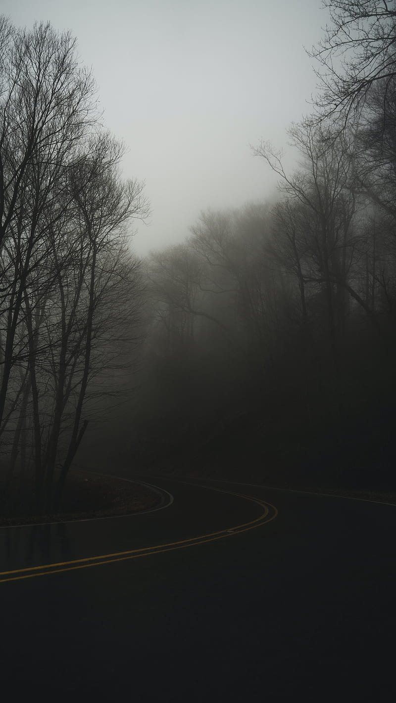 road, turn, fog, haze, dusk, HD phone wallpaper