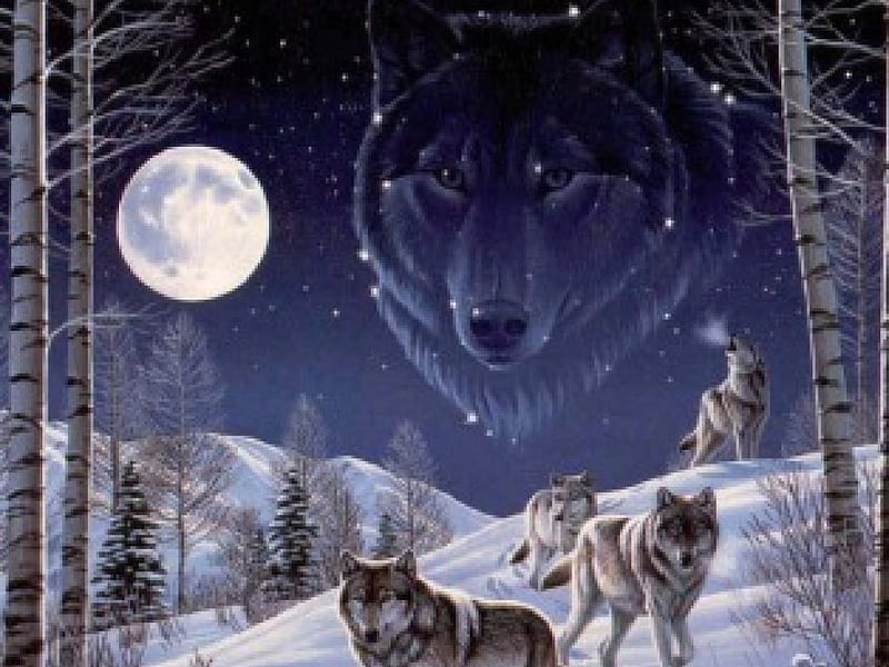 Watching Over My Brotherhood, fantasy, moon, snow, trees, wolves, abstract, animals, HD wallpaper
