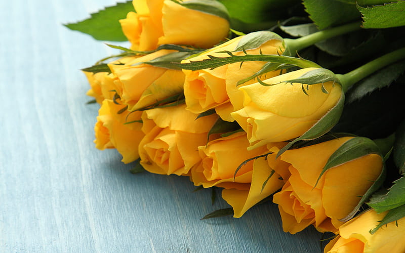 yellow roses bouquet, macro, bouquet of roses, bokeh, yellow flowers, roses, buds, HD wallpaper