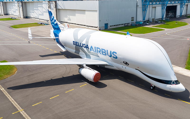 Airbus Beluga XL, Airbus A300 Beluga, cargo plane, cargo transportation, cargo aircraft, Airbus, HD wallpaper