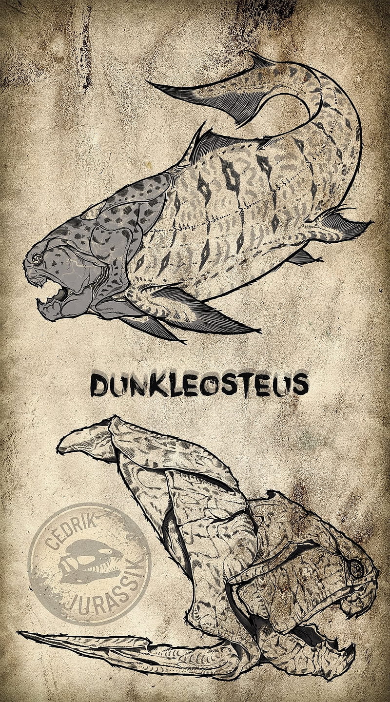 Dunkleosteus, cedrik jurassik, prehistoric, HD phone wallpaper