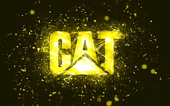 Cat icon HD wallpapers