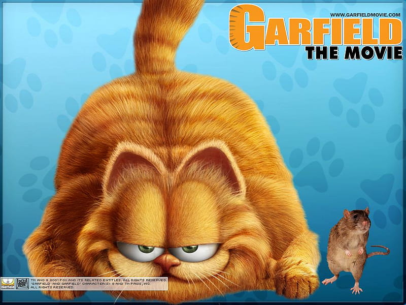 Garfield, comedy, cat, movie, HD wallpaper | Peakpx