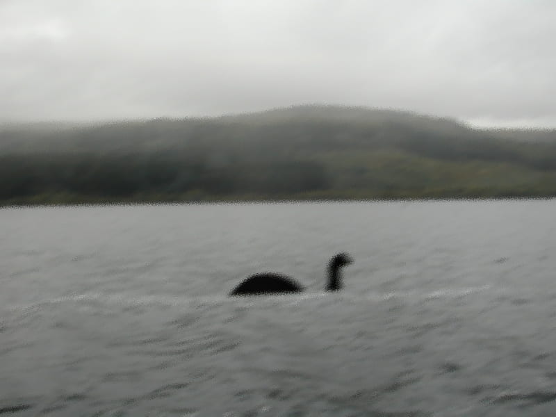See I told you, the Loch Ness Monster,does exist., graphy, lake, people, HD wallpaper