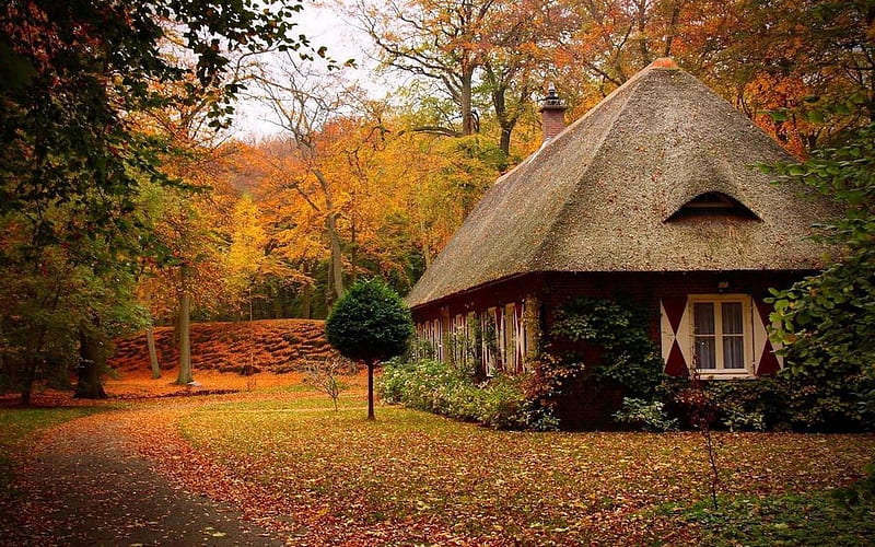 Little home near the autumn woods, Trees, Falling, House, Village, HD wallpaper