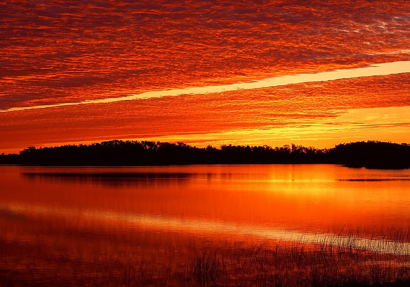 ~Sunrise on Nine Mile Pond~Florida Everglades~, folige, orange, everglades, woods, bonito, trees, sky, clouds, pond, florida, water, sunrise, HD wallpaper