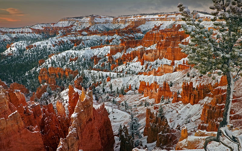 Bryce Canyon National Park Utah 2021 Bing, HD wallpaper