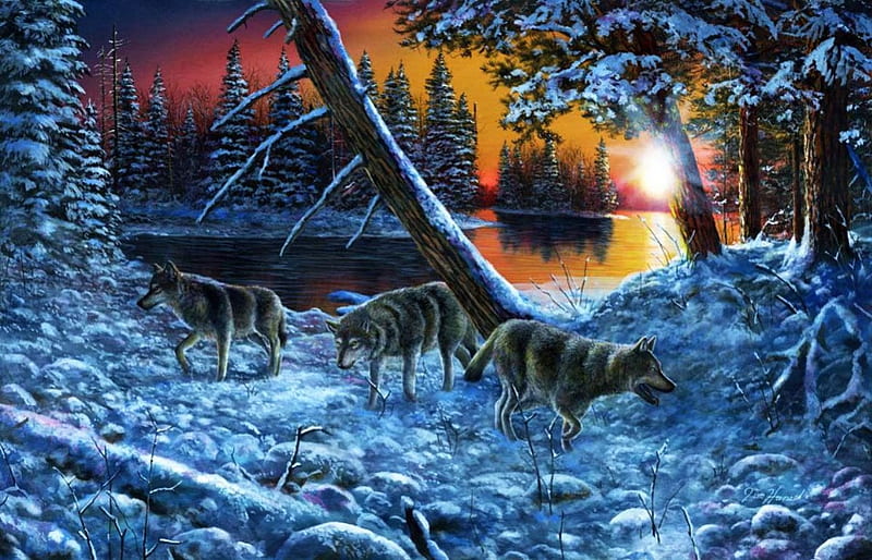 On the Prowl, sunset, artwork, winter, snow, wolfpack, painting, predarors, river, wolves, HD wallpaper