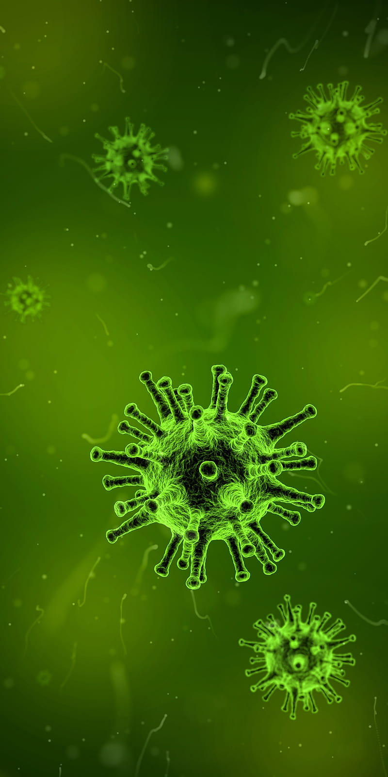 Coronavirus, 2020, corona, covid 19, epidemic, germs, pandemic, stay home, virus, HD phone wallpaper
