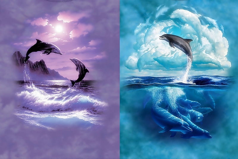 Dos delfines, collages, delfines, mar, animales, Fondo de pantalla HD |  Peakpx